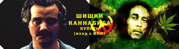 индика Коряжма