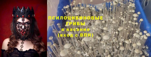spice Алексеевка
