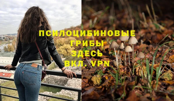 дмт Корсаков